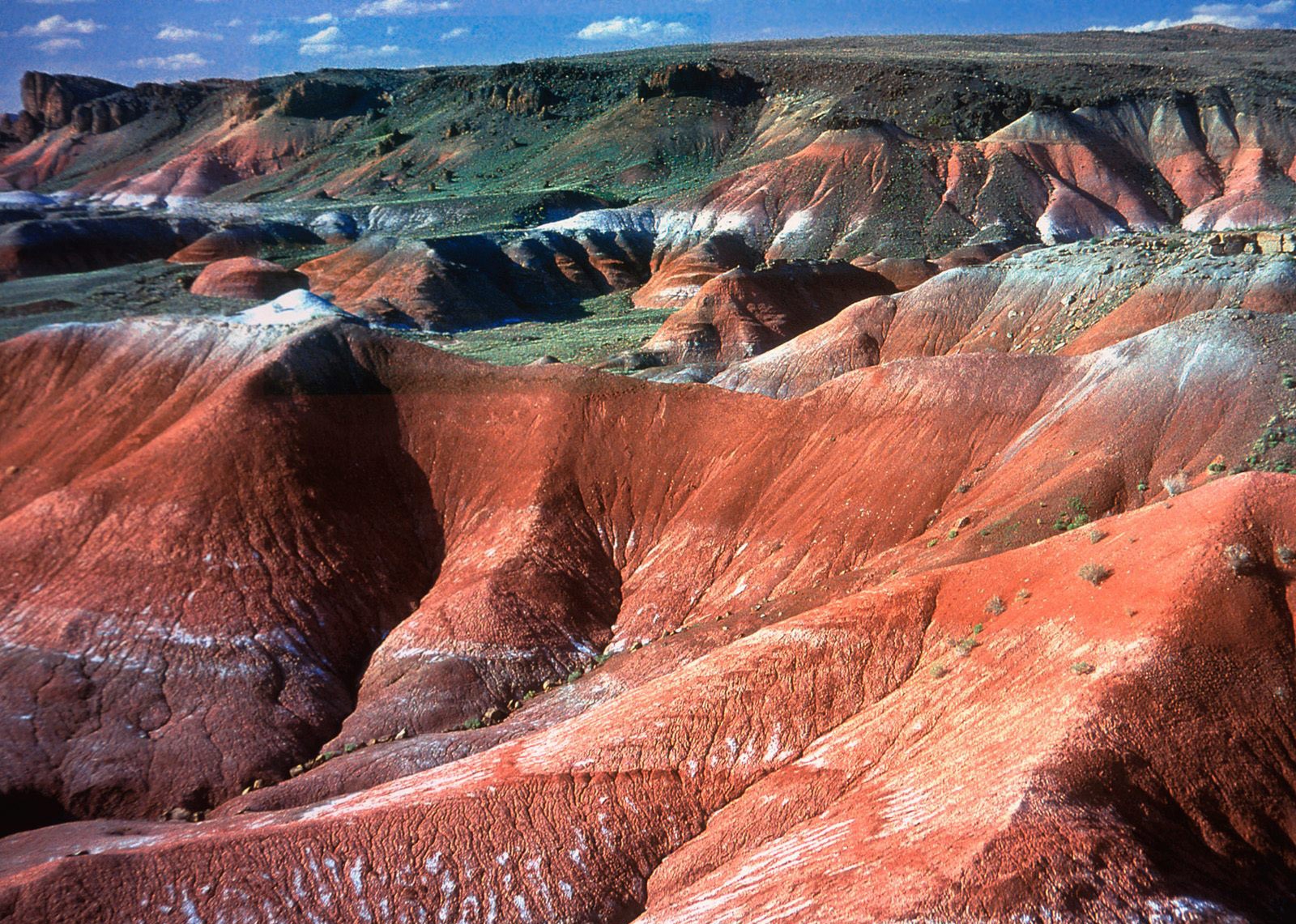 Original Red Dirt Shirt - Arizona
